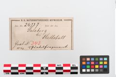 Etiketten zu Bronzegürtelblech (NHMW-PRAE-024737)